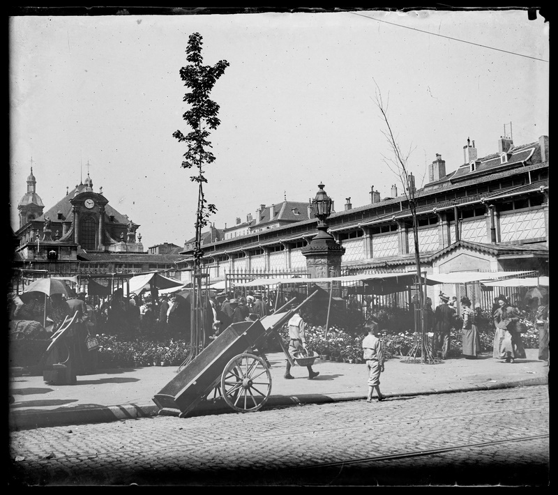 Anonyme, La rue Saint-Dizier avec vue sur le marché couvert de Nancy vers 1900. Négatif gélatino-argentique sur plaque de verre, inv. 2019.0.1435