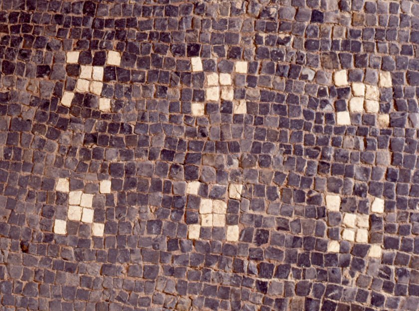 Mosaïque au dauphin, époque gallo-romaine, détail